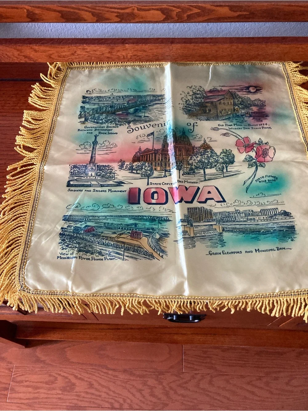 Vintage Iowa silk fringed pillow case from 1950’s approximately 16 x 16